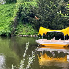 23-05-16 13-30-58 5409